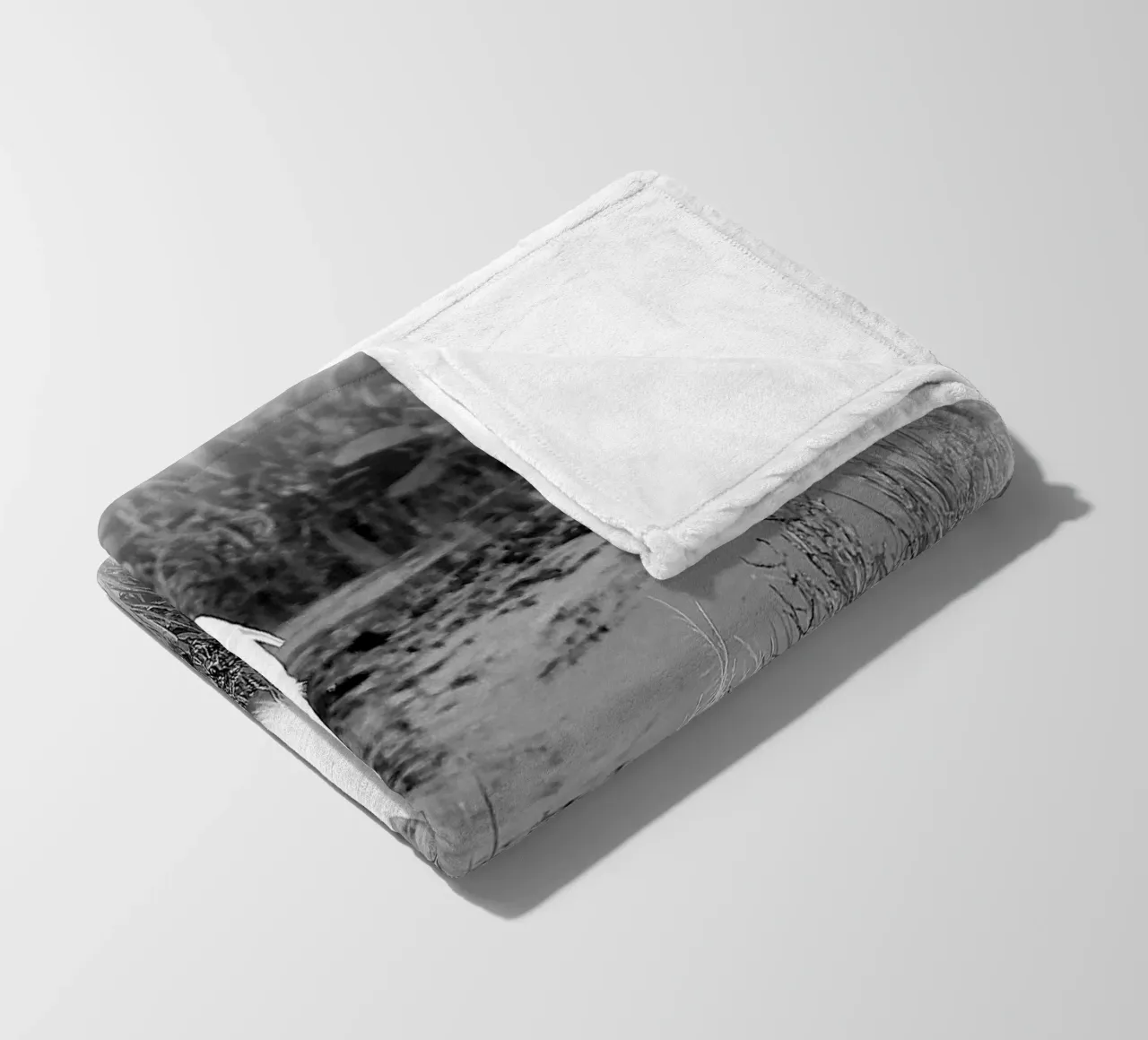BW 71 coperta in pile da Thierry vobmann photography