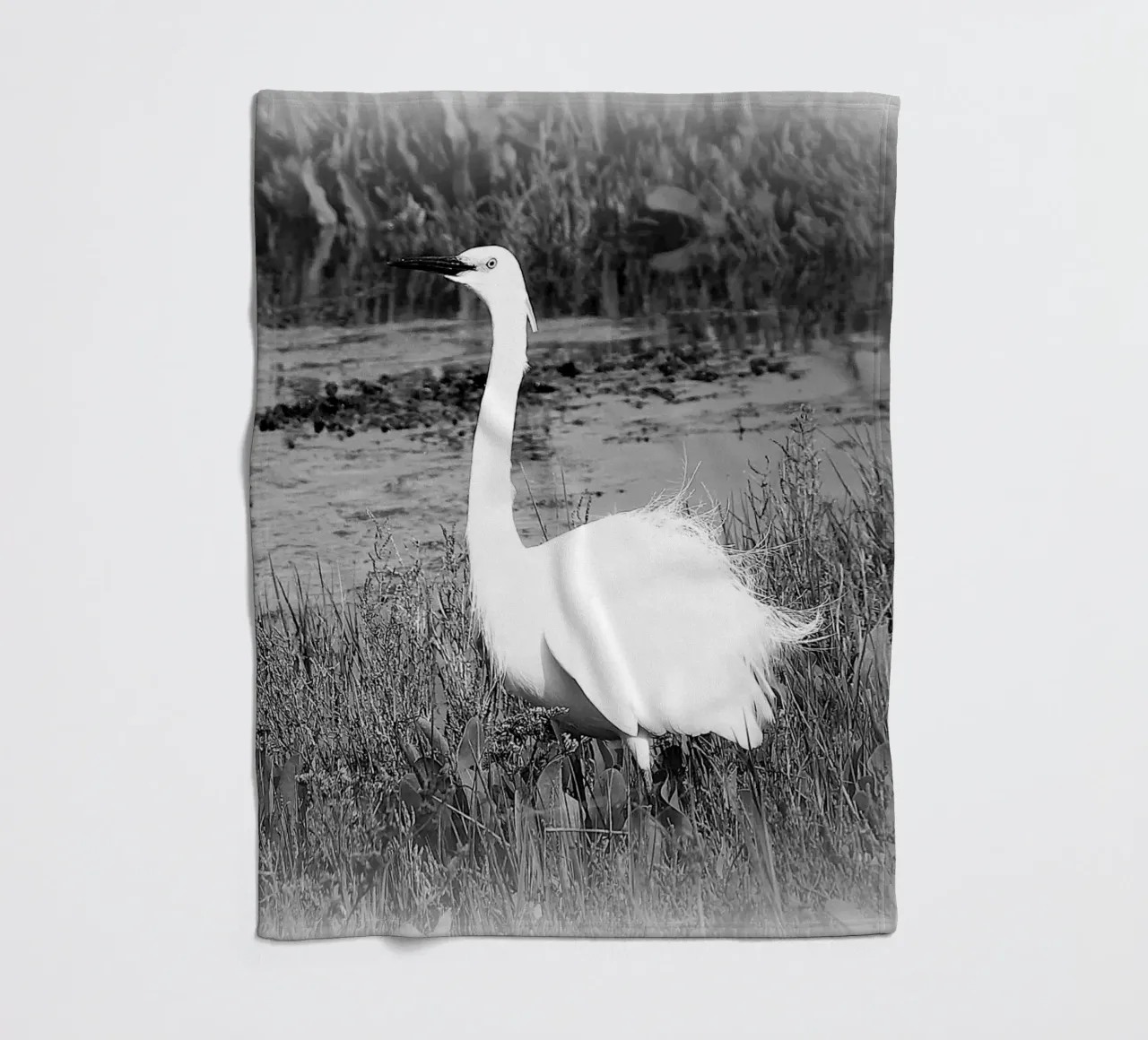 BW 71 coperta in pile da Thierry vobmann photography