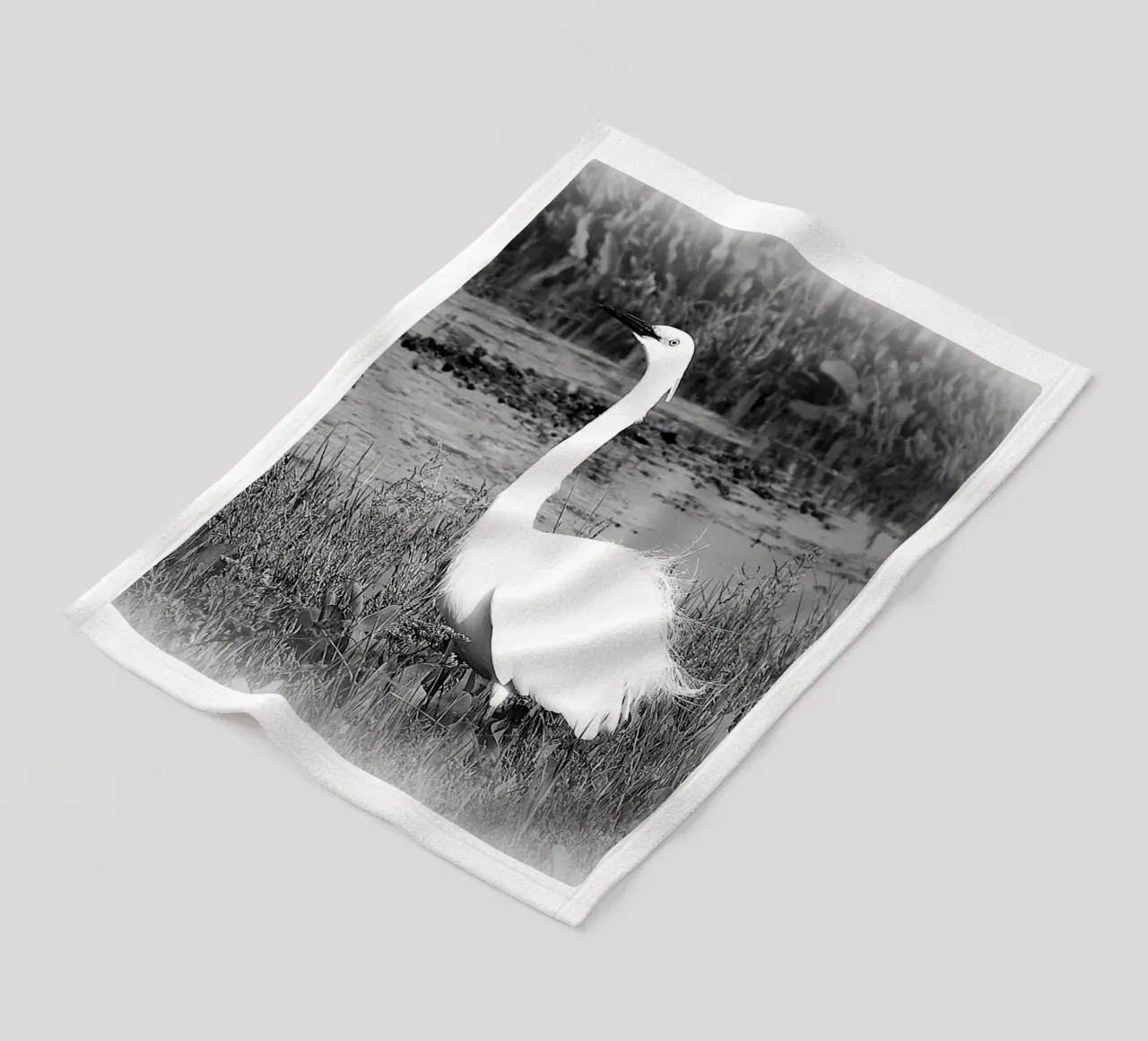 BW 71 coperta in pile da Thierry vobmann photography