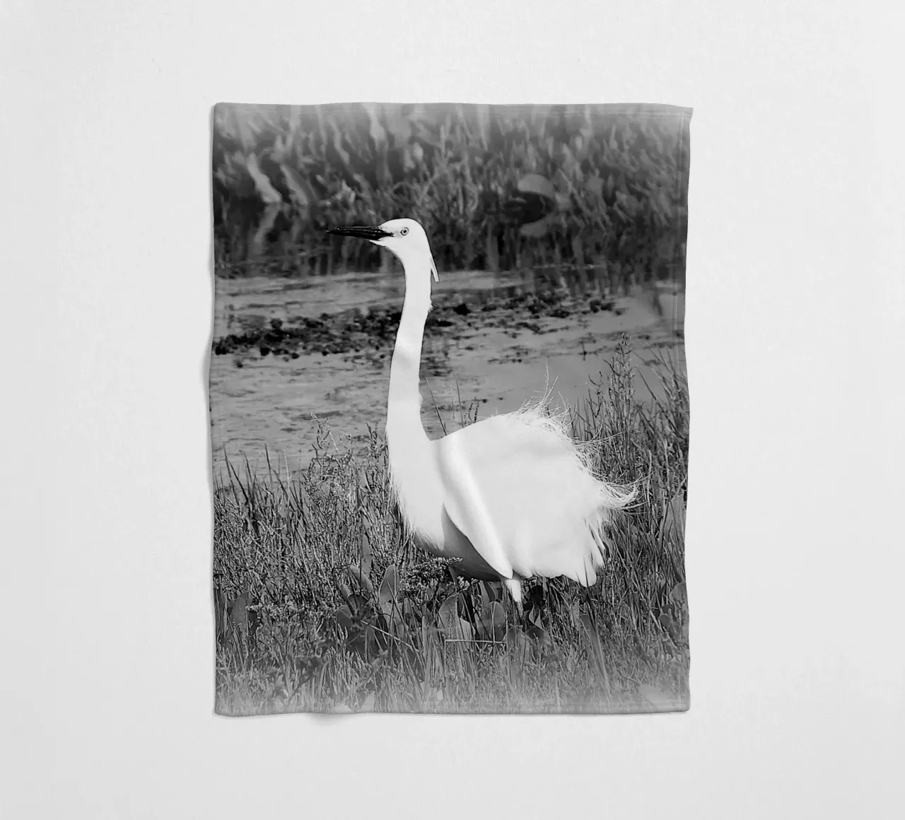 BW 71 coperta in pile da Thierry vobmann photography