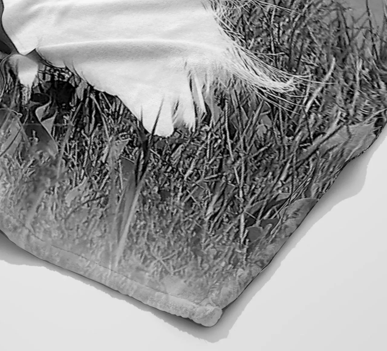 BW 71 coperta in pile da Thierry vobmann photography