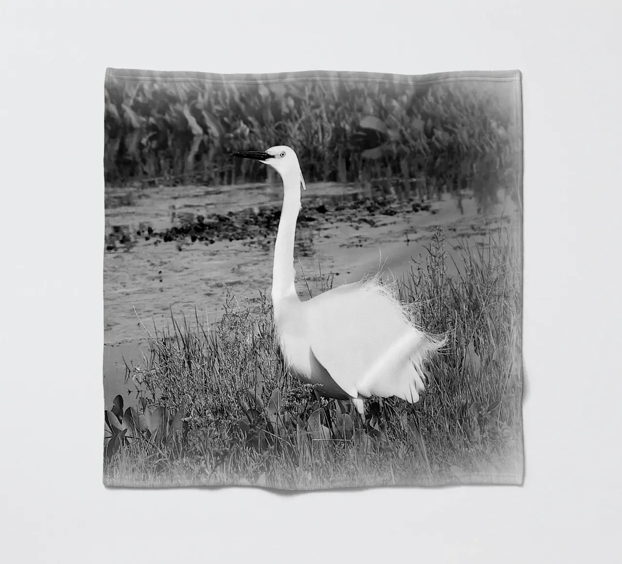 BW 71 coperta in pile da Thierry vobmann photography