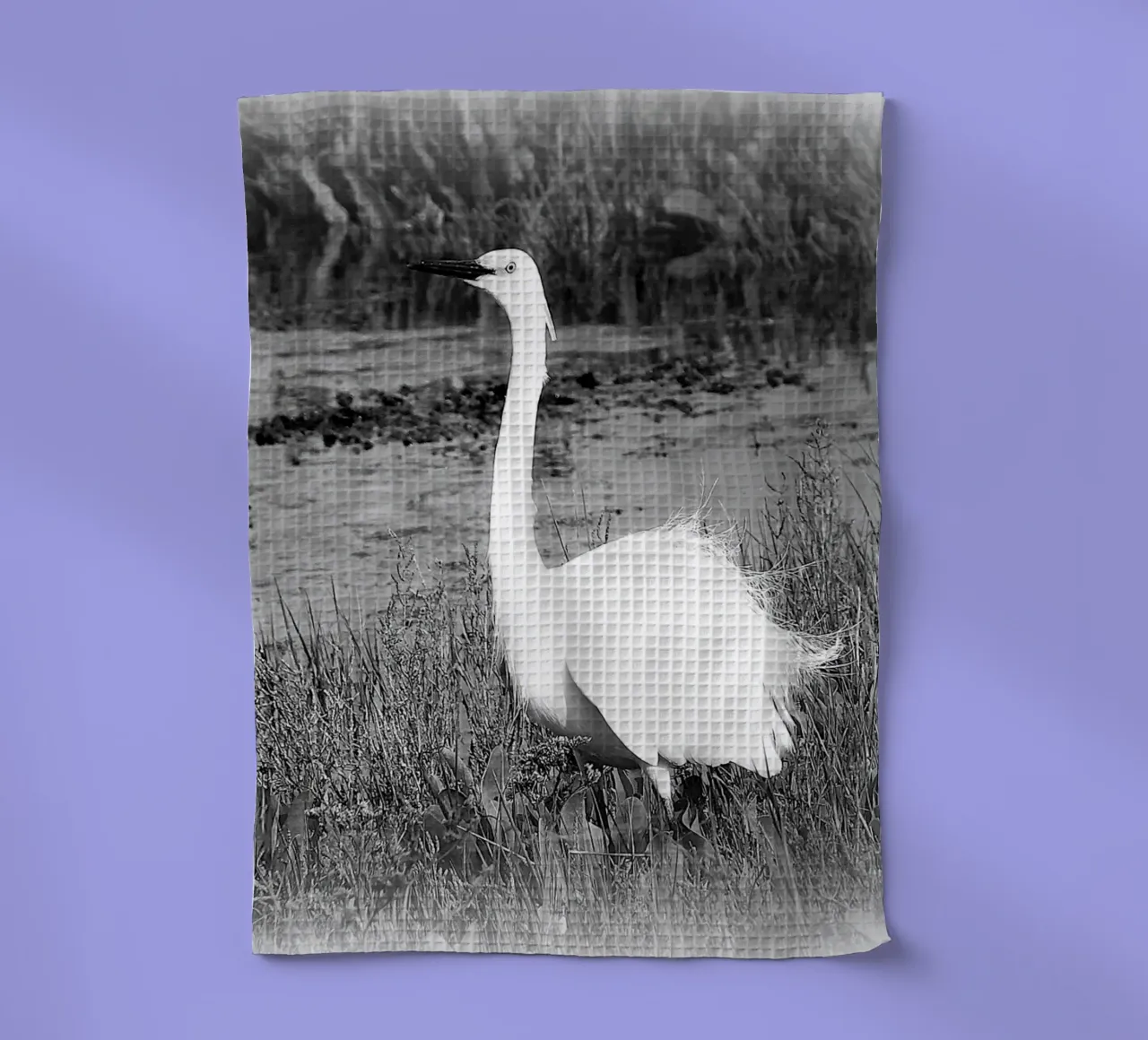 BW 71 torchon de Thierry vobmann photography