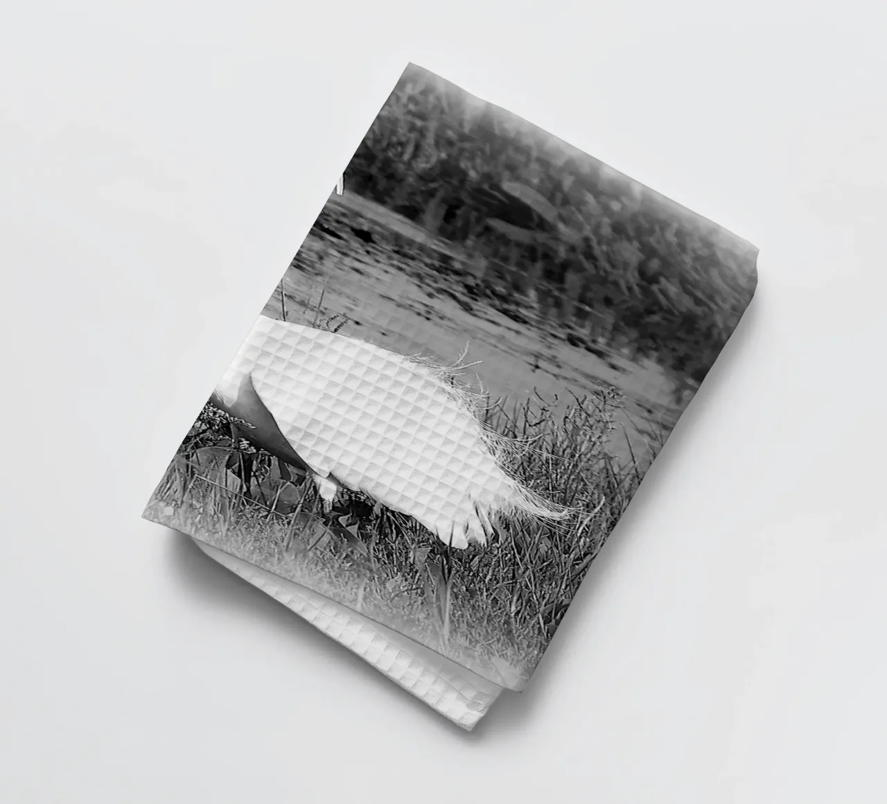 BW 71 torchon de Thierry vobmann photography