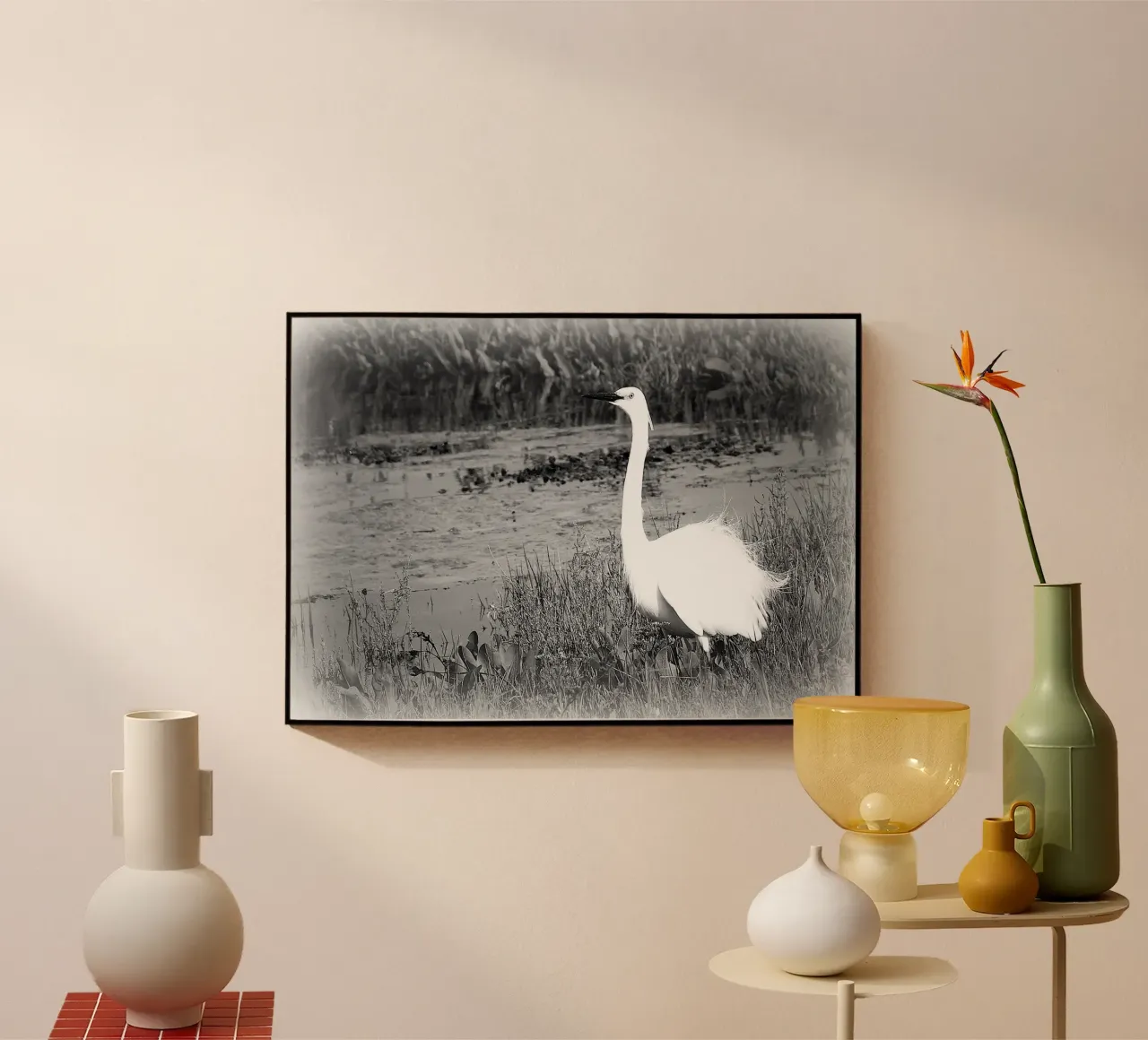 BW 71 plexiglass da Thierry vobmann photography