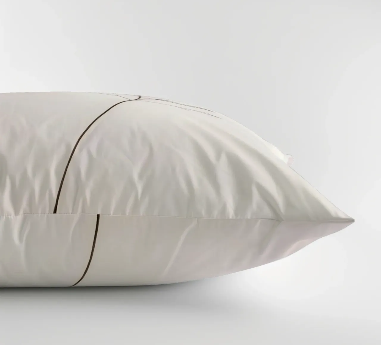 Single minimal botanical branch, displaying a leaf decorative cushion by DesignDoodle