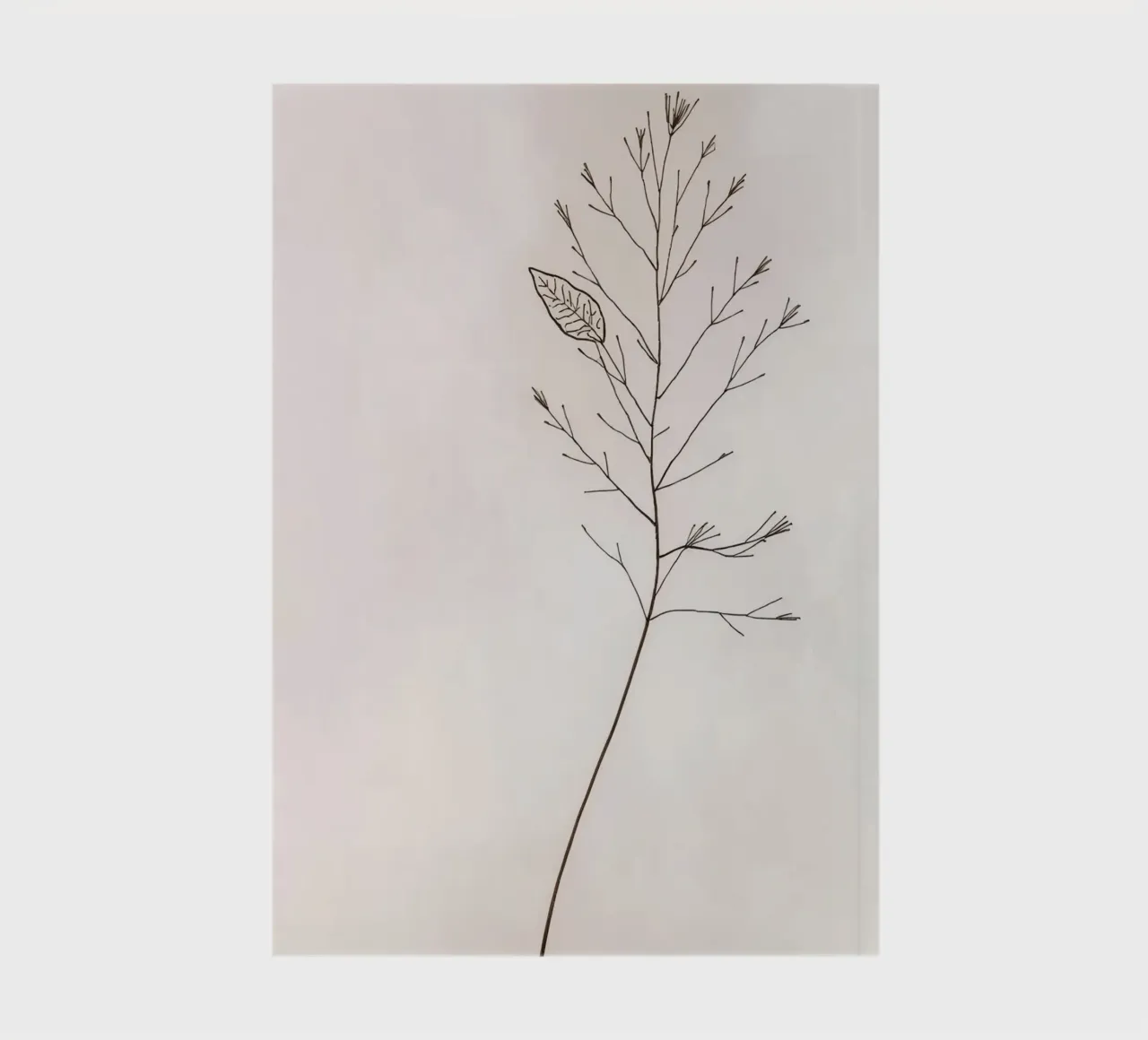 Single minimal botanical branch, displaying a leaf notebook by DesignDoodle