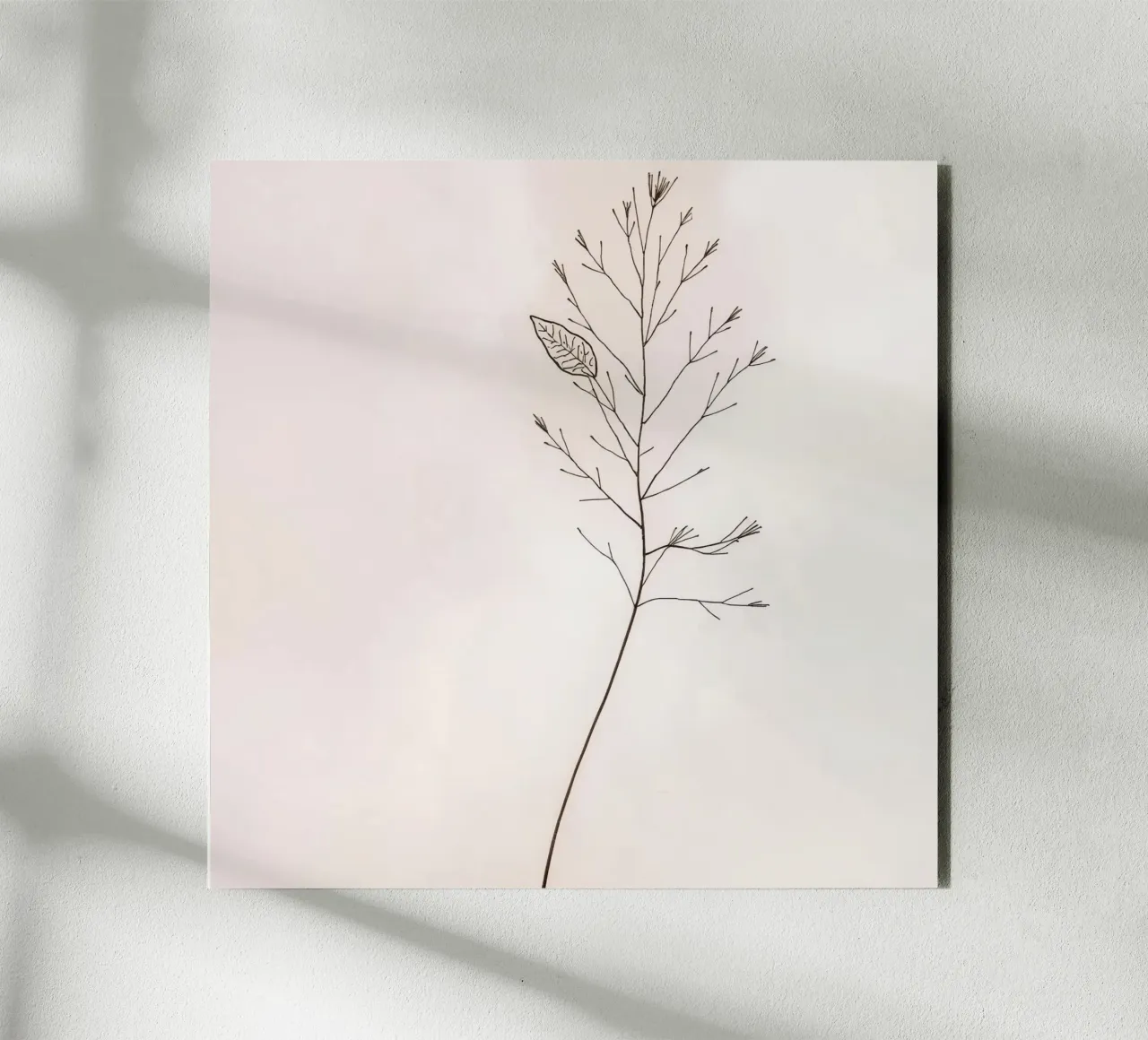 Single minimal botanical branch, displaying a leaf alu-dibond by DesignDoodle