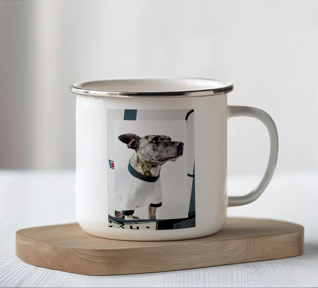 The Tailwaggers 5-3 tazza in smalto da Paul Aidan Perry