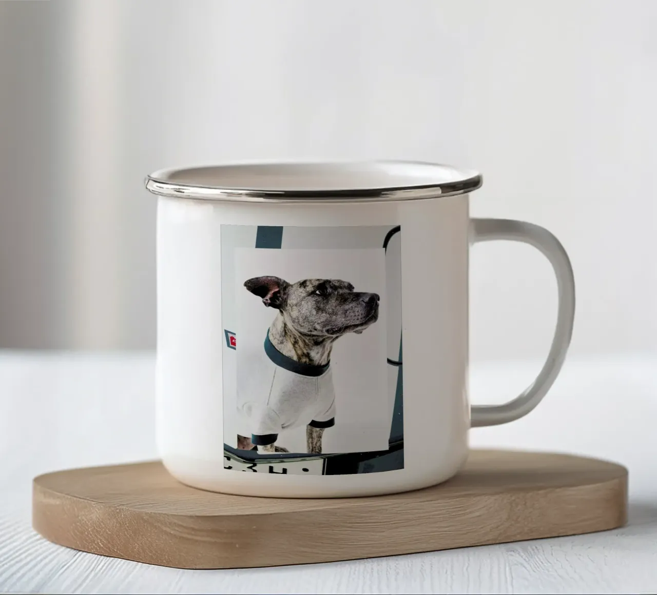 The Tailwaggers 5-3 tazza in smalto da Paul Aidan Perry