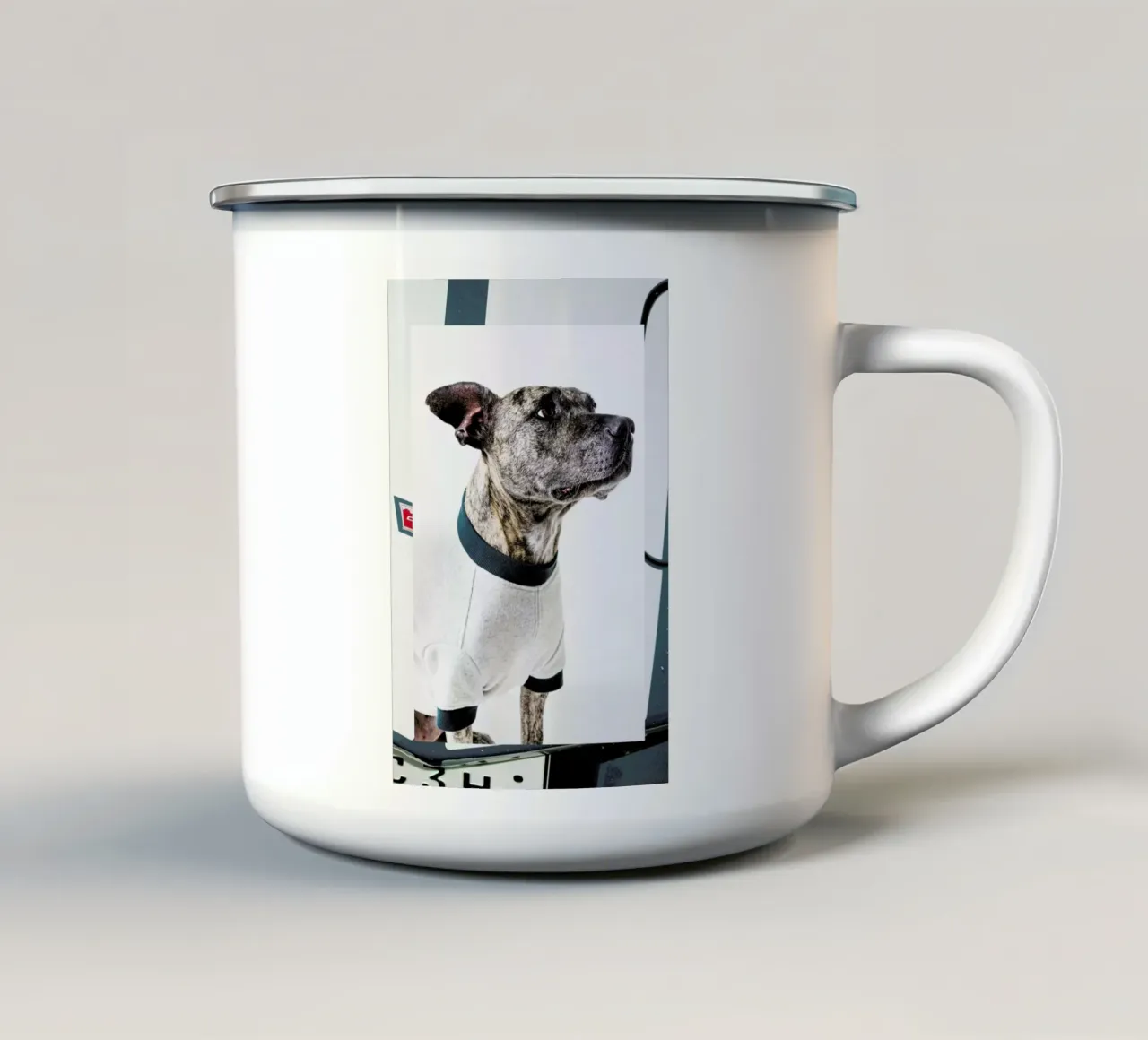The Tailwaggers 5-3 tazza in smalto da Paul Aidan Perry