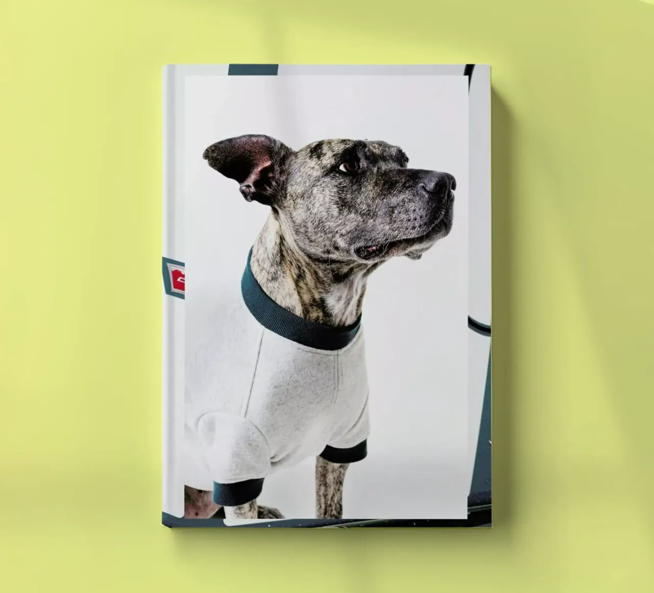 The Tailwaggers 5-3 notebook by Paul Aidan Perry