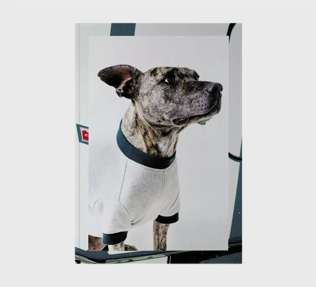 The Tailwaggers 5-3 notebook by Paul Aidan Perry