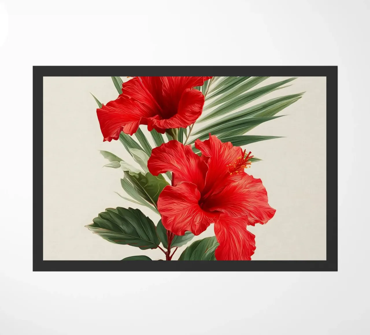 Ibisco zerbino da Studio Verde