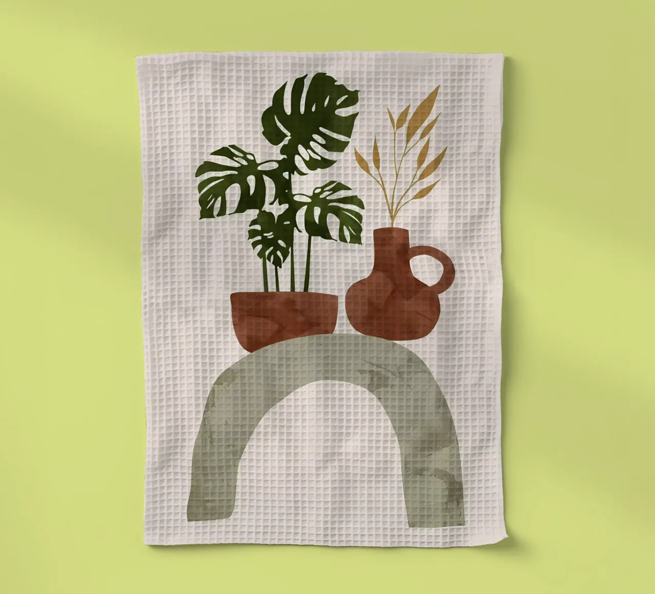 plante en pot monstera torchon de Patrick L Lord