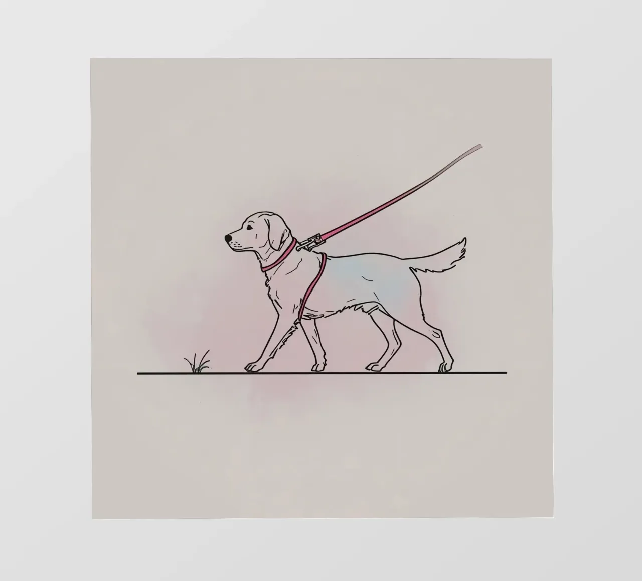 Golden Retriever walks on a leash with collar pvc cover by DesignDoodle