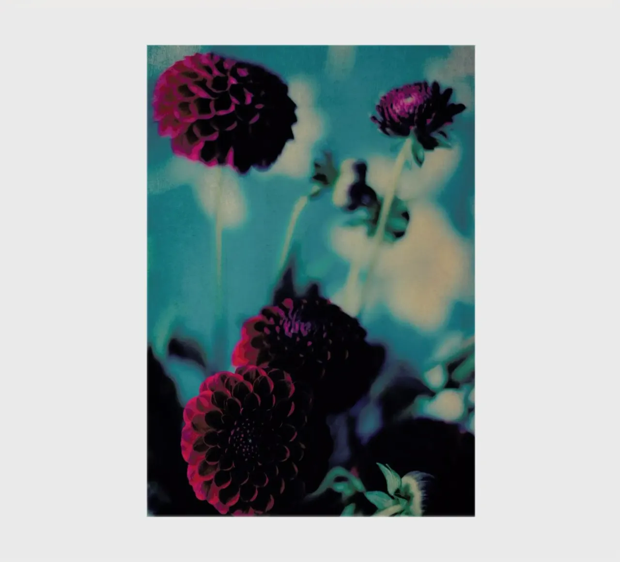 Bordeaux notebook by Ingrid Beddoes