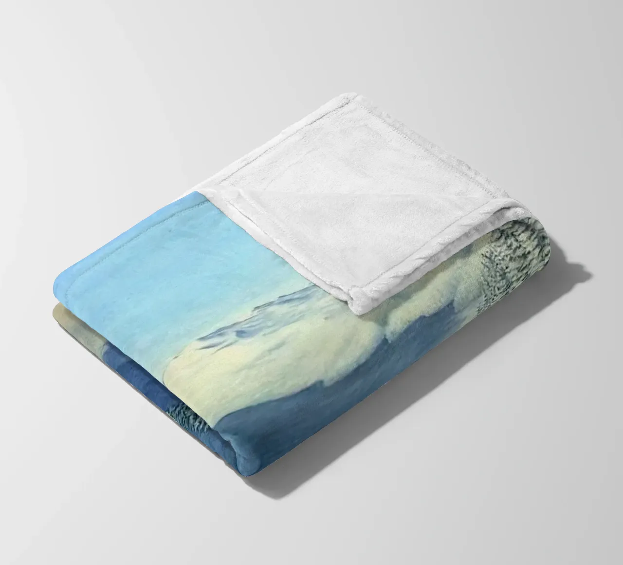 Rob Gonsalves Grande neve coperta in pile da Trudeau Art Galley