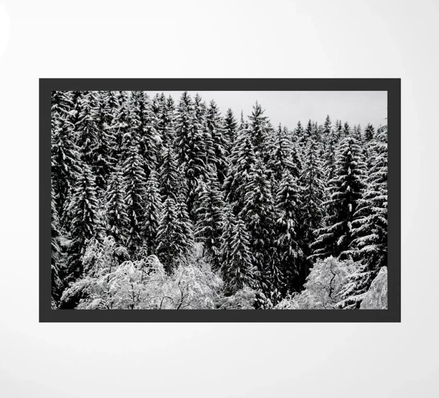 In The Forest zerbino da Studio Nahili