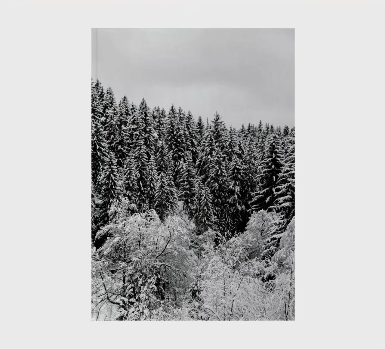In The Forest notebook by Studio Nahili