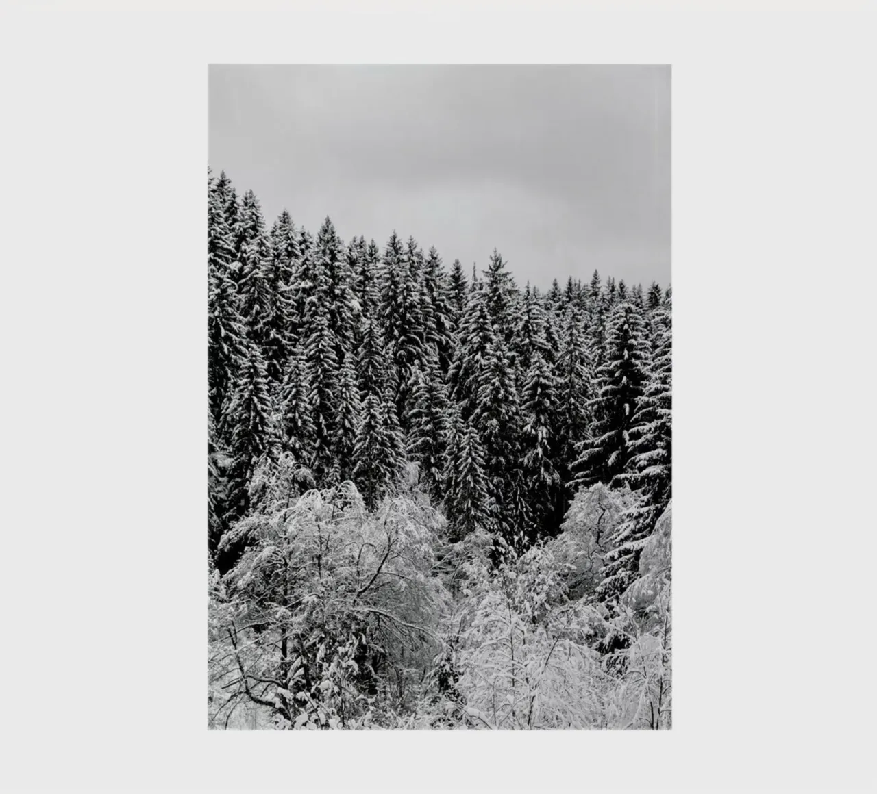 In The Forest notebook by Studio Nahili
