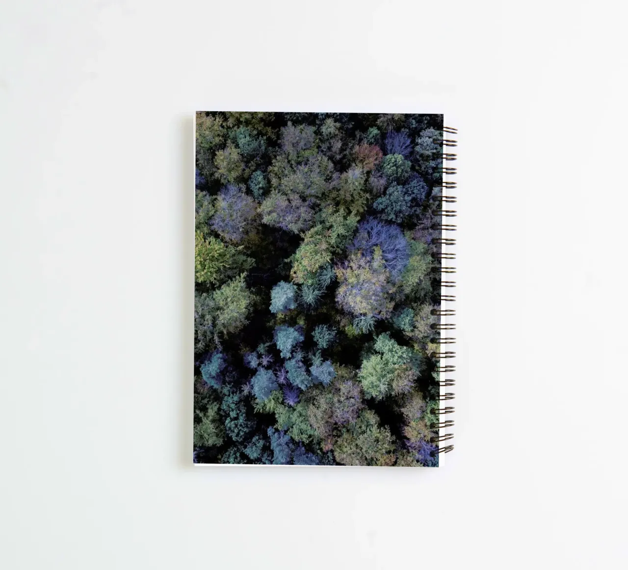 Autumn Forests from Above spiral notebook by Studio Nahili