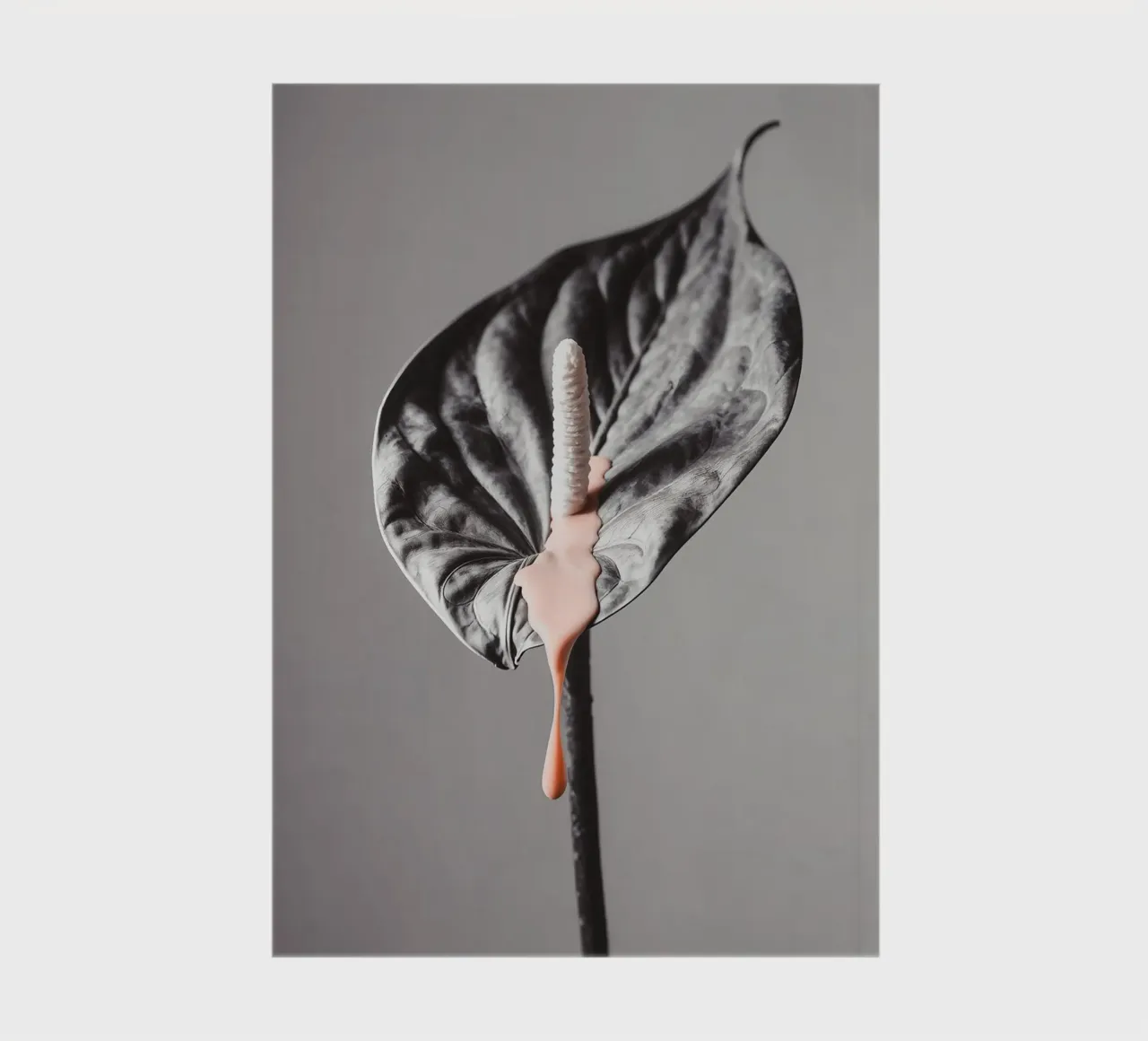 Minimal Bloom notebook by BLICKPUNKT