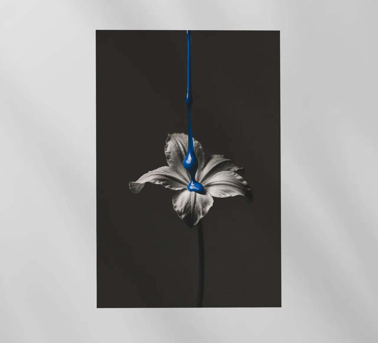 Blue Bloom pellicola backlit da BLICKPUNKT