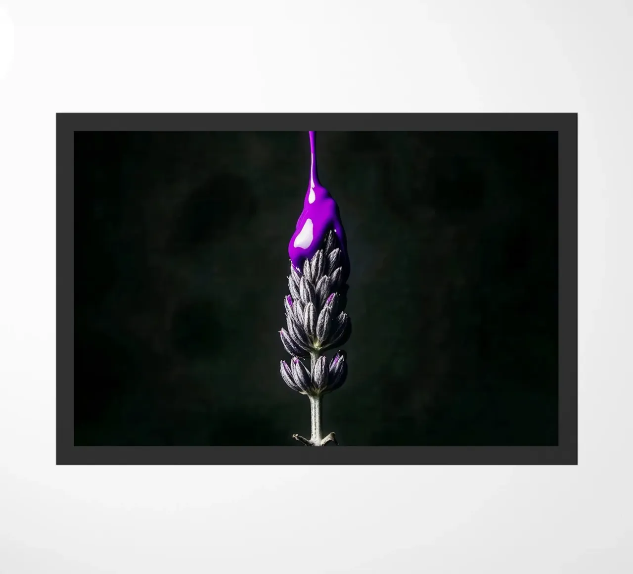 Lavender Drop zerbino da BLICKPUNKT