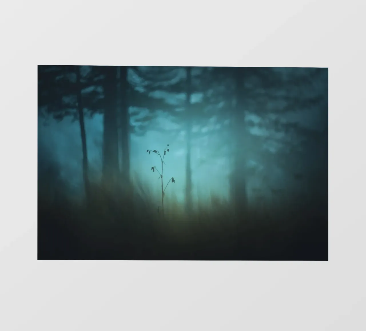 Twilight No. 1 pellicola backlit da OUTSIDE ONLY