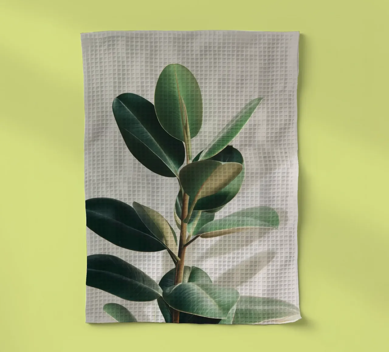 Ficus in Light – Modern Plant Photography tea towel by Vela Luna