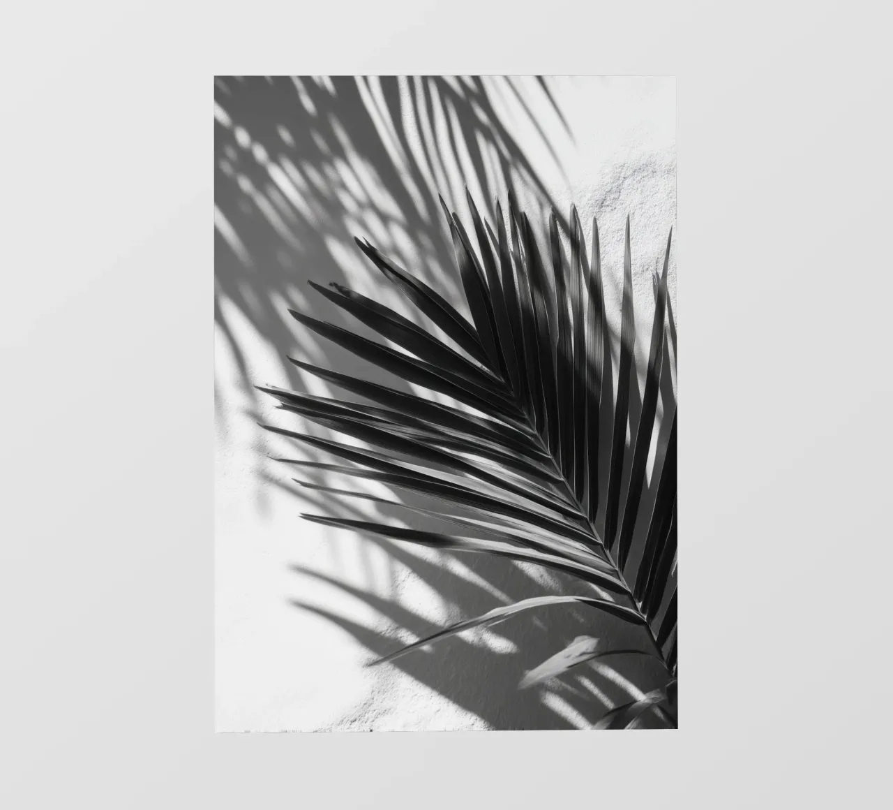 Soft Shadows – Monochrome Tropical Poster telo in pvc da Vela Luna