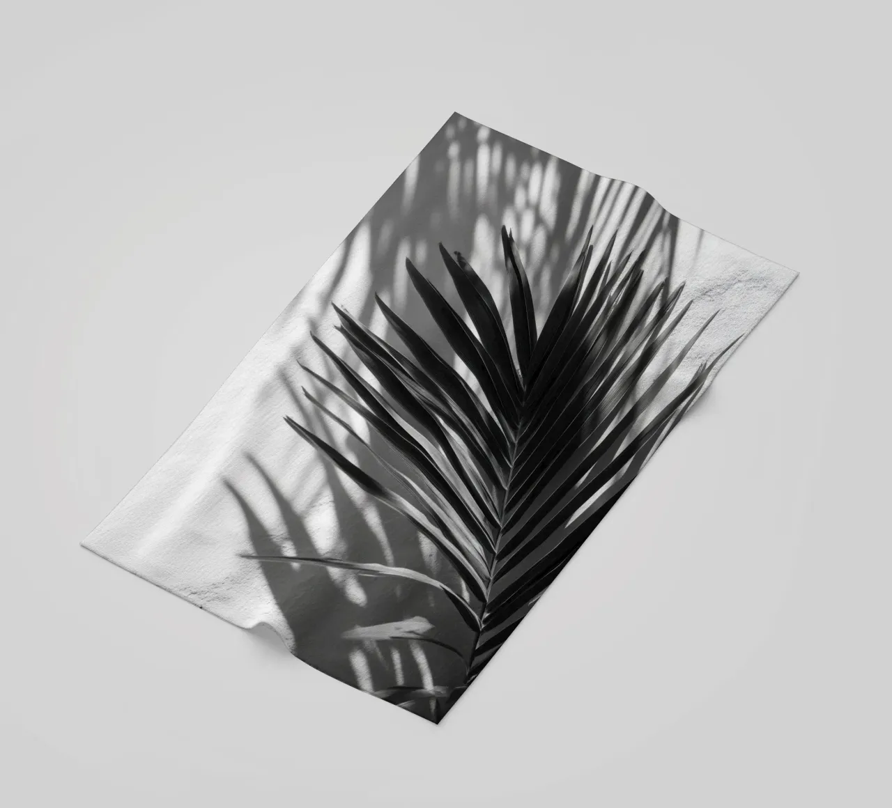 Soft Shadows – Monochrome Tropical Poster telo mare da Vela Luna
