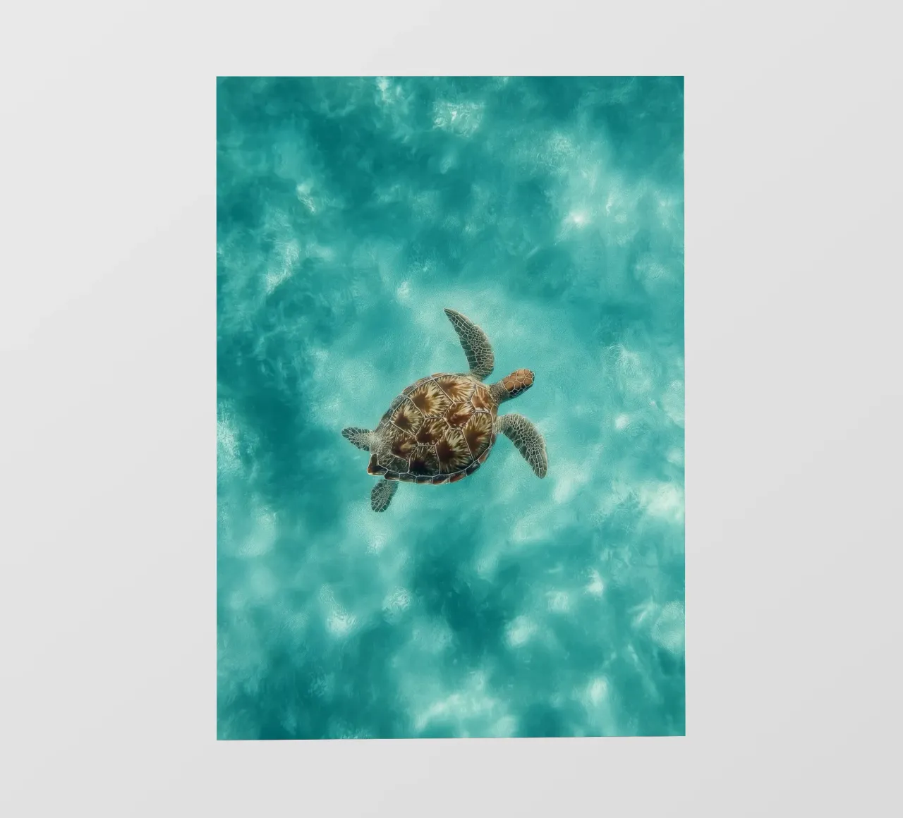 Ocean Wanderer – Minimal Sea Turtle Aerial Print pellicola backlit da Vela Luna