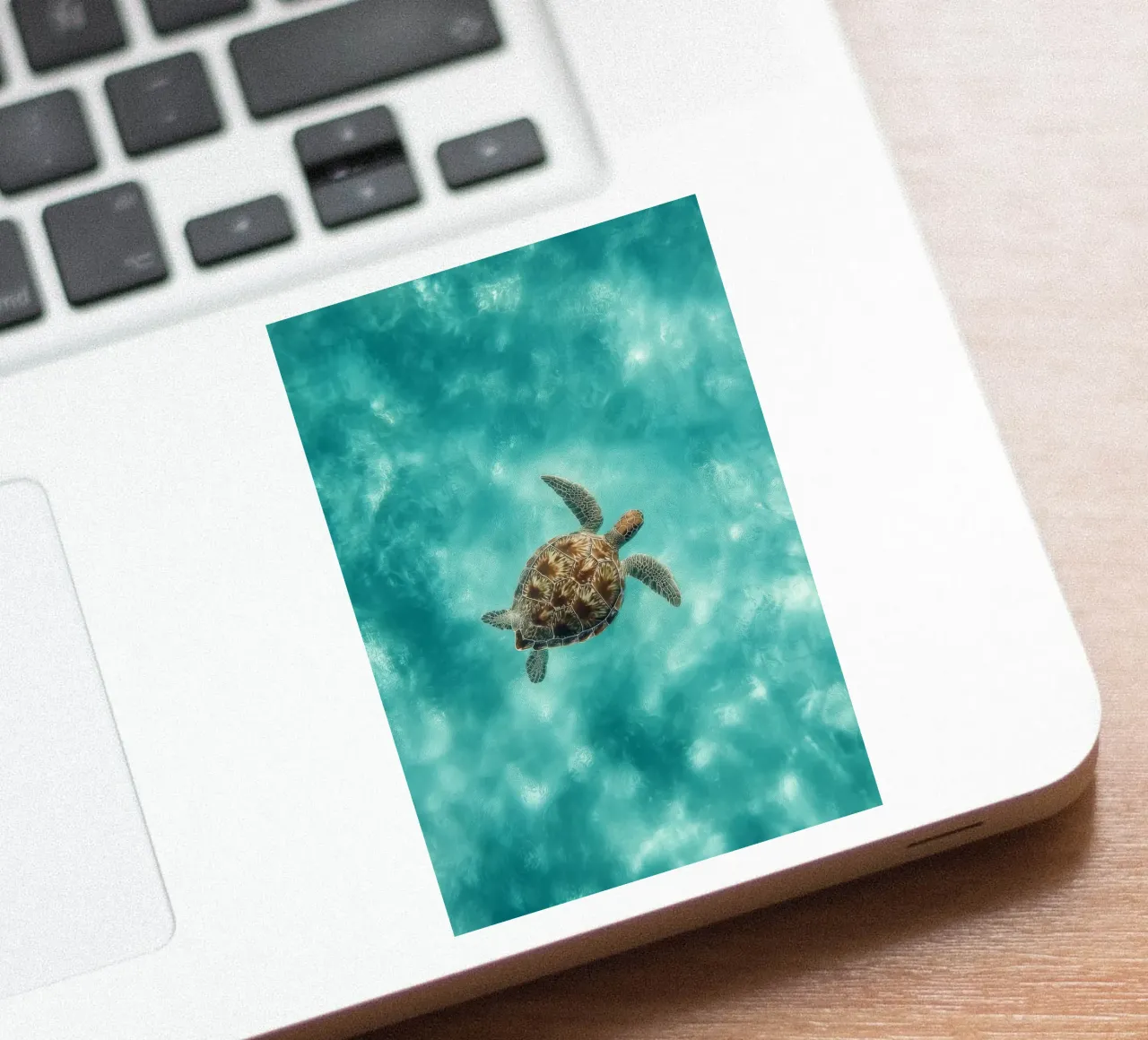 Ocean Wanderer – Minimal Sea Turtle Aerial Print adesivo da Vela Luna