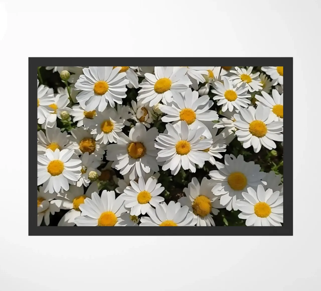 Fiori di margherita zerbino da luxi&lace
