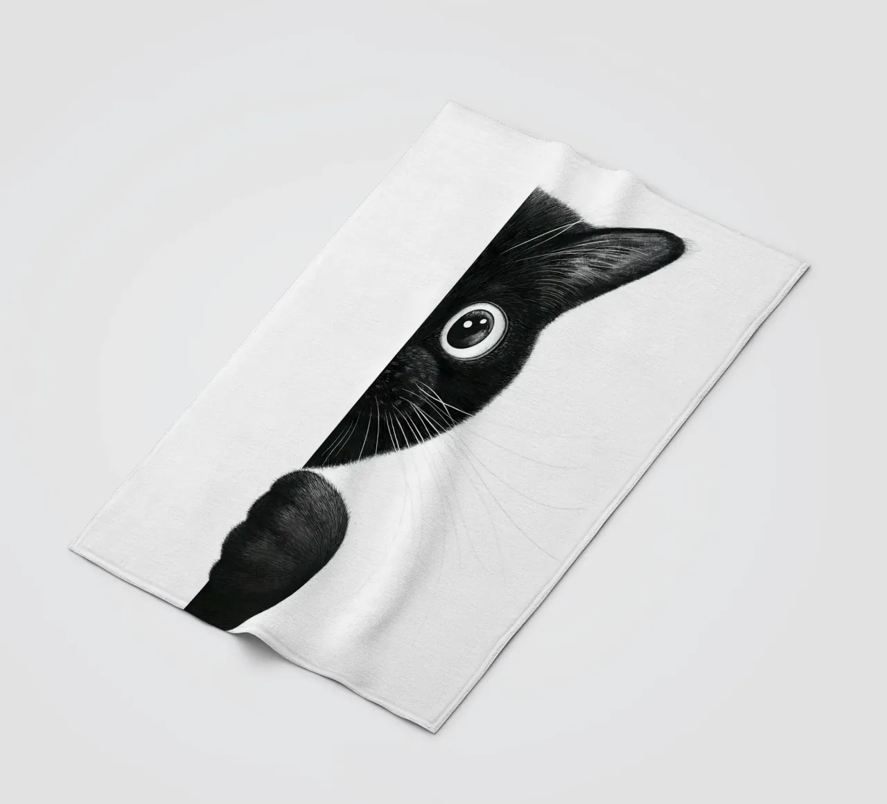 Cat Playing Hide And Seek coperta in pile da lennytravers