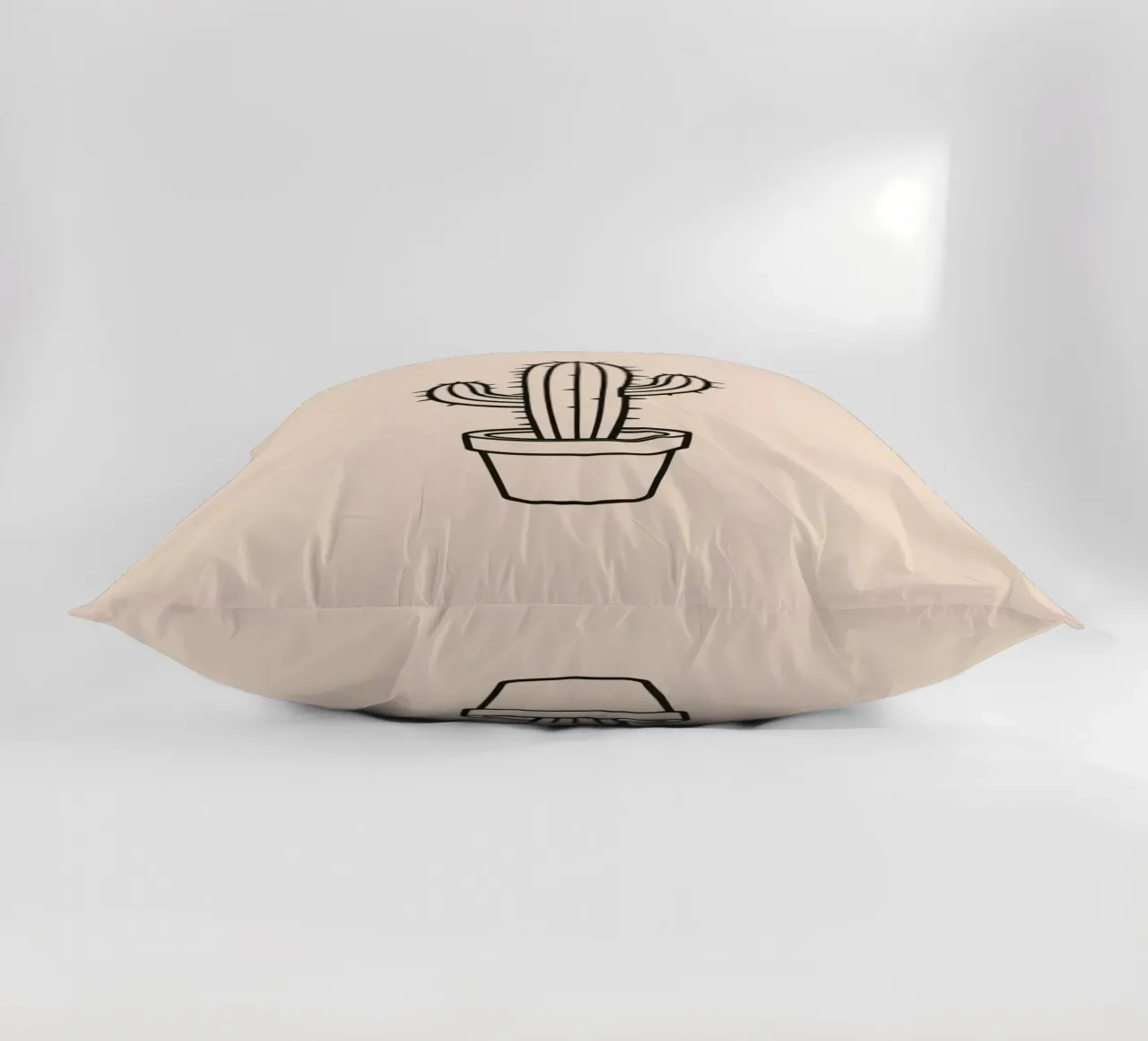 Cactus in un semplice vaso esposto su uno sfondo semplice cuscino da DesignDoodle