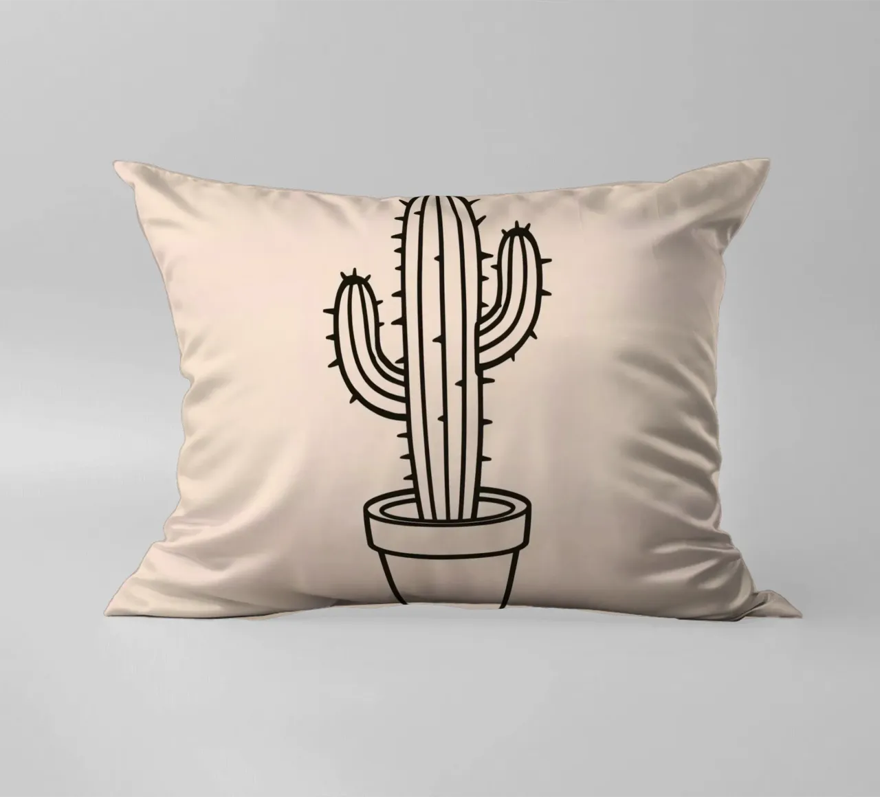Cactus in un semplice vaso esposto su uno sfondo semplice cuscino da DesignDoodle