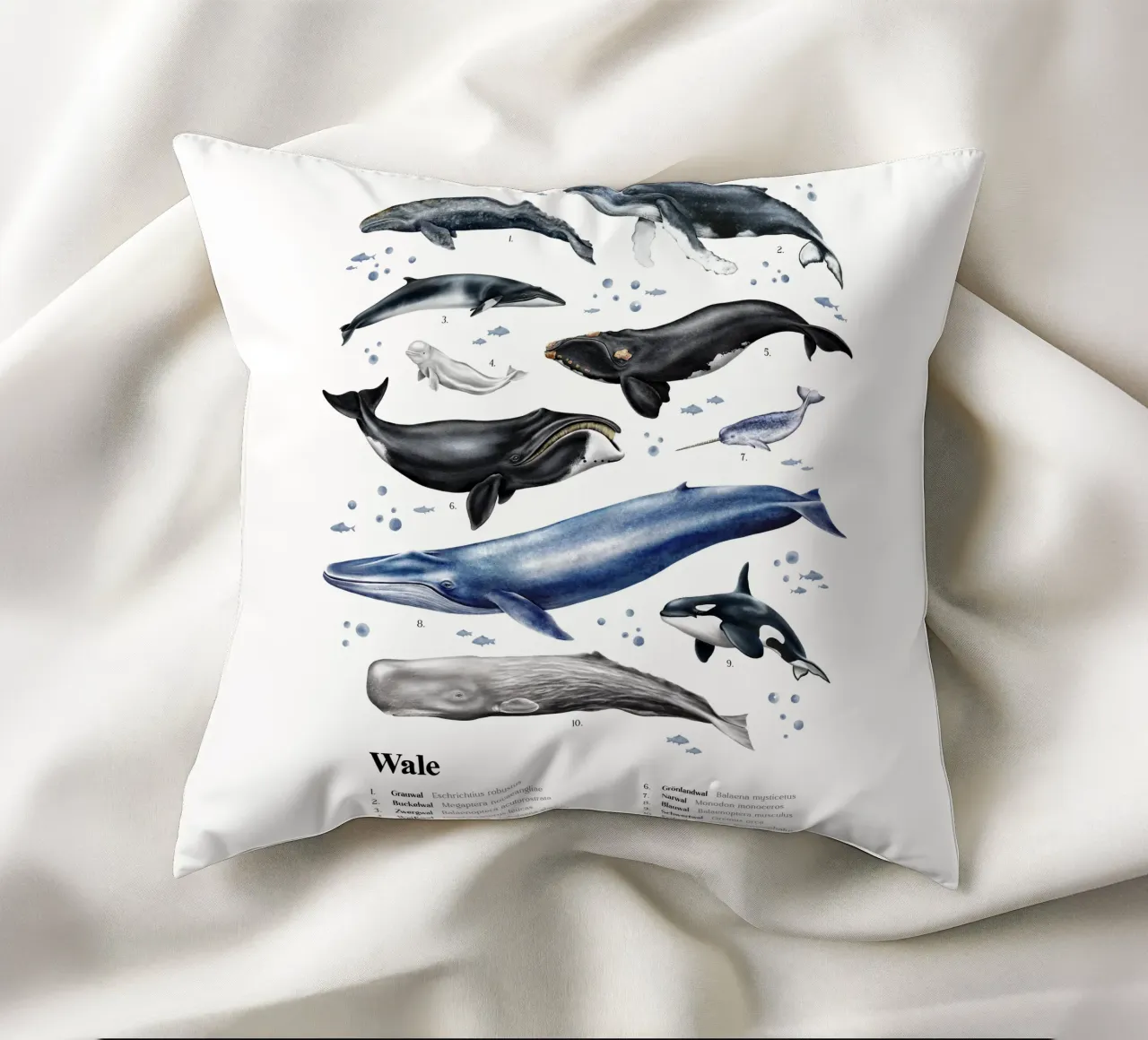 Wale & Delfine Nr.03 • Arten entdecken Lernbild Illustration cuscino da Moonlit Illustrations