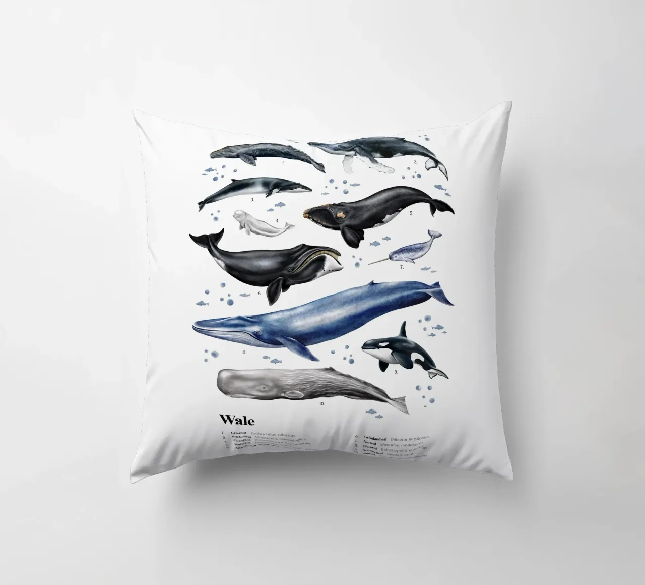 Wale & Delfine Nr.03 • Arten entdecken Lernbild Illustration cuscino da Moonlit Illustrations