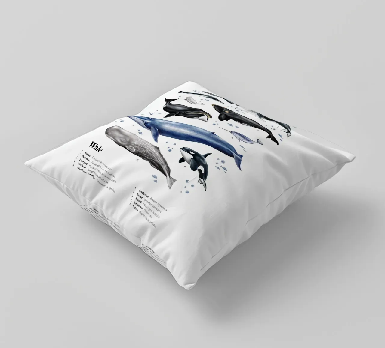 Wale & Delfine Nr.03 • Arten entdecken Lernbild Illustration cuscino da Moonlit Illustrations