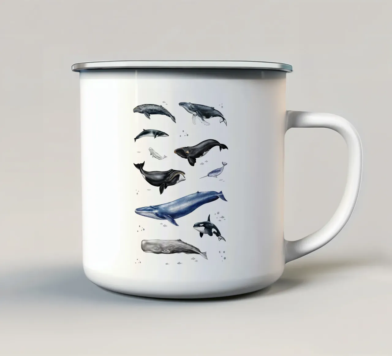 Wale & Delfine Nr.03 • Arten entdecken Lernbild Illustration tazza in smalto da Moonlit Illustrations