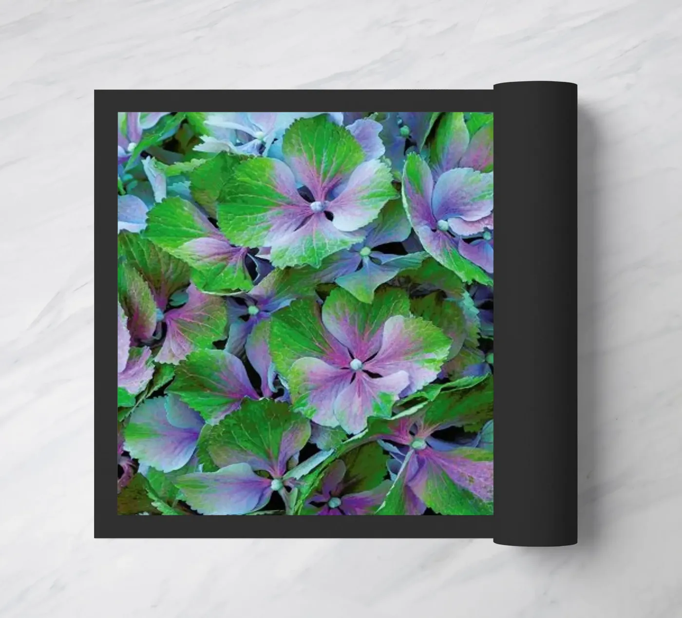 Hortensia zerbino da Curious Collections by Marielle Leenders