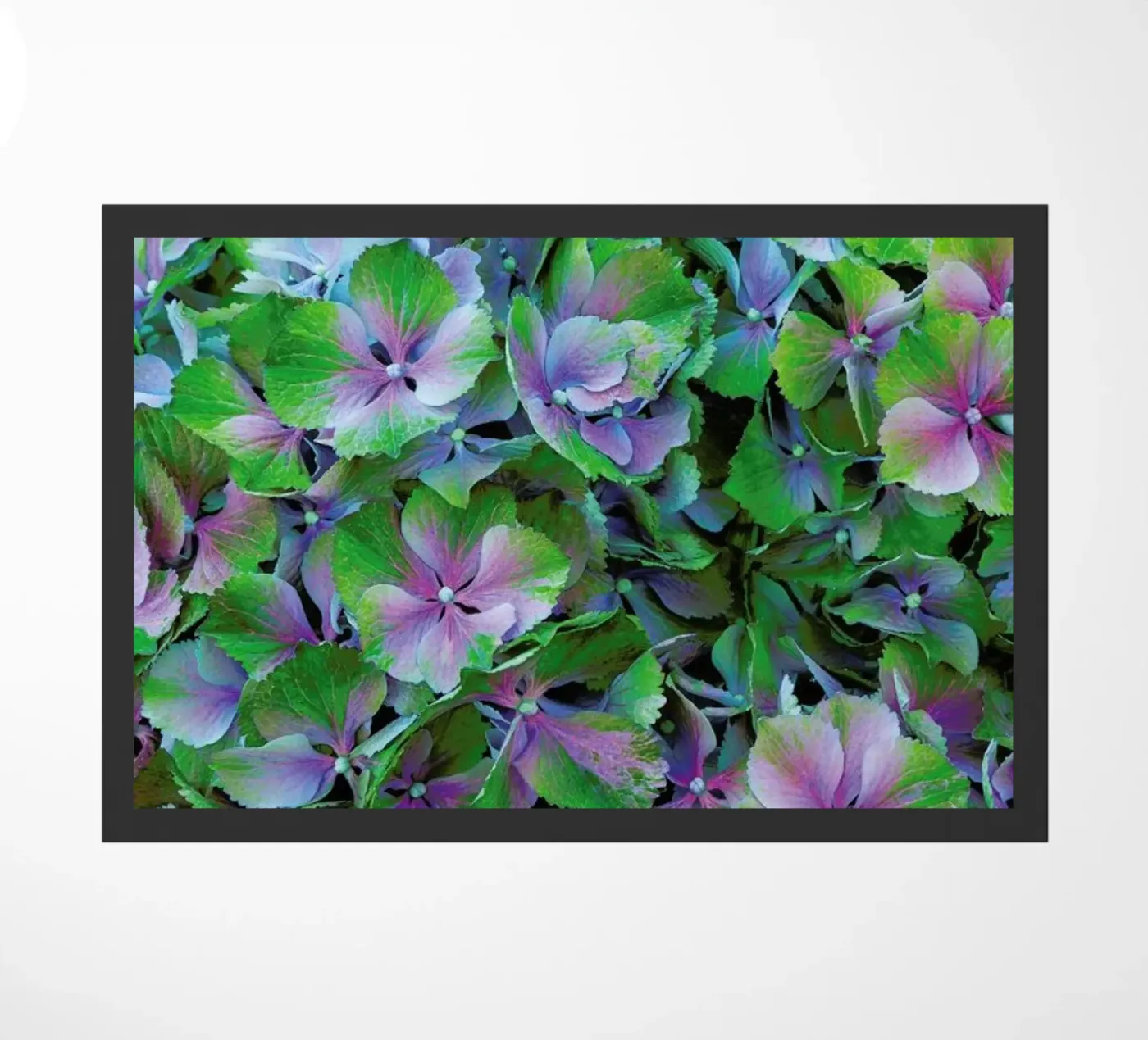 Hortensia zerbino da Curious Collections by Marielle Leenders