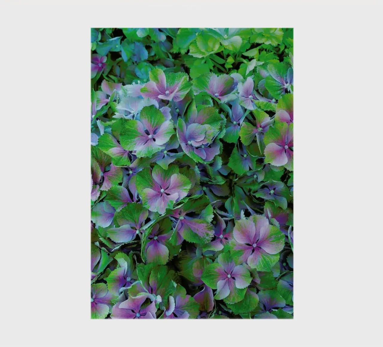 Hortensia diario da Curious Collections by Marielle Leenders