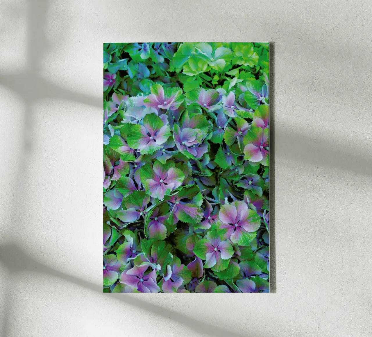 Hortensia canvas by Curious Collections by Marielle Leenders