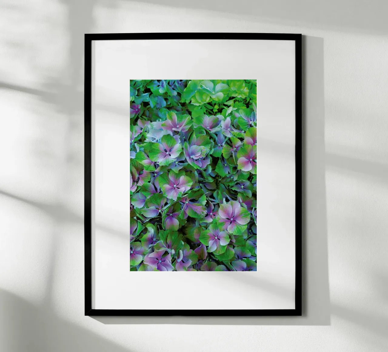 Hortensia poster da Curious Collections by Marielle Leenders