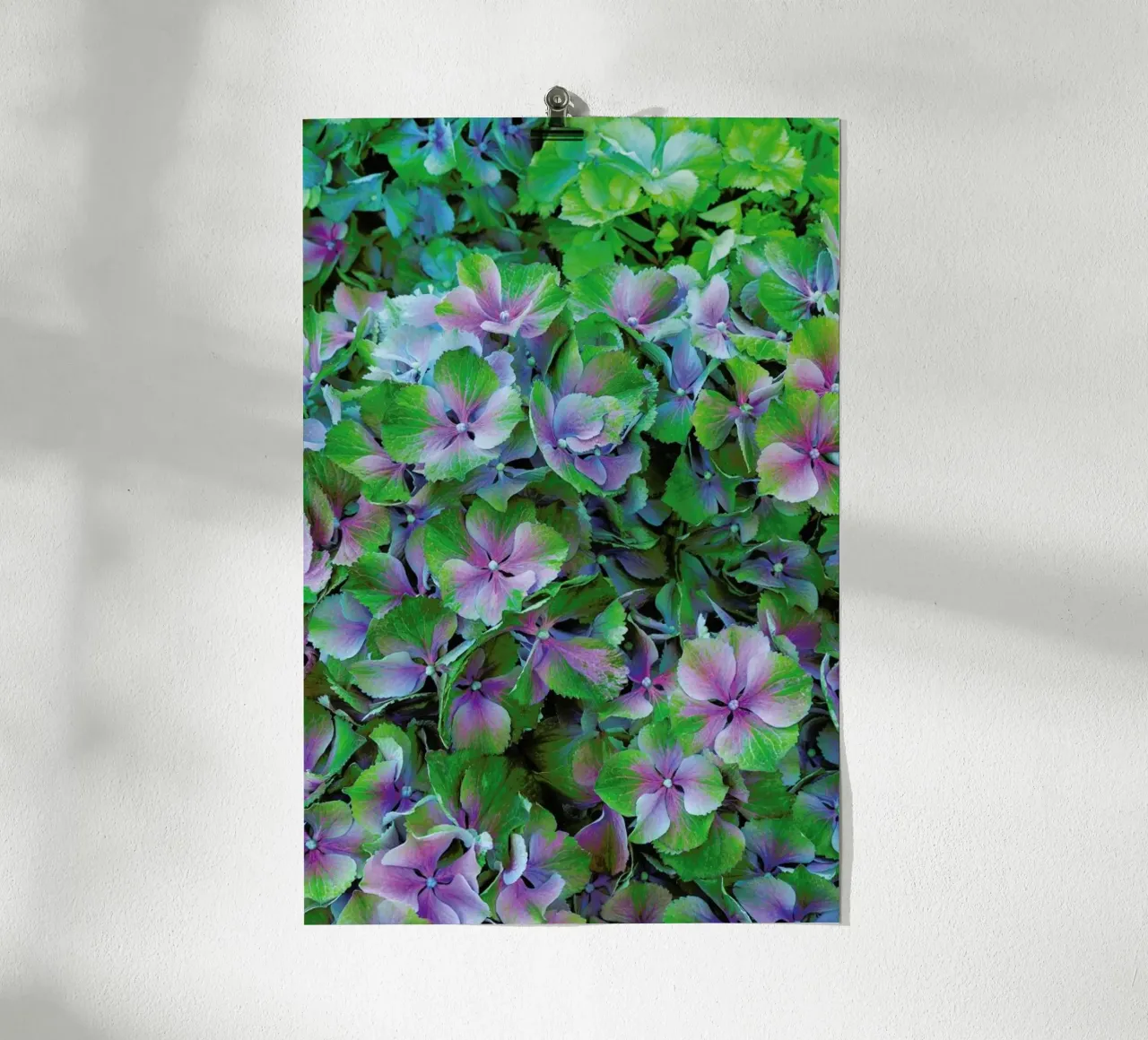 Hortensia poster da Curious Collections by Marielle Leenders