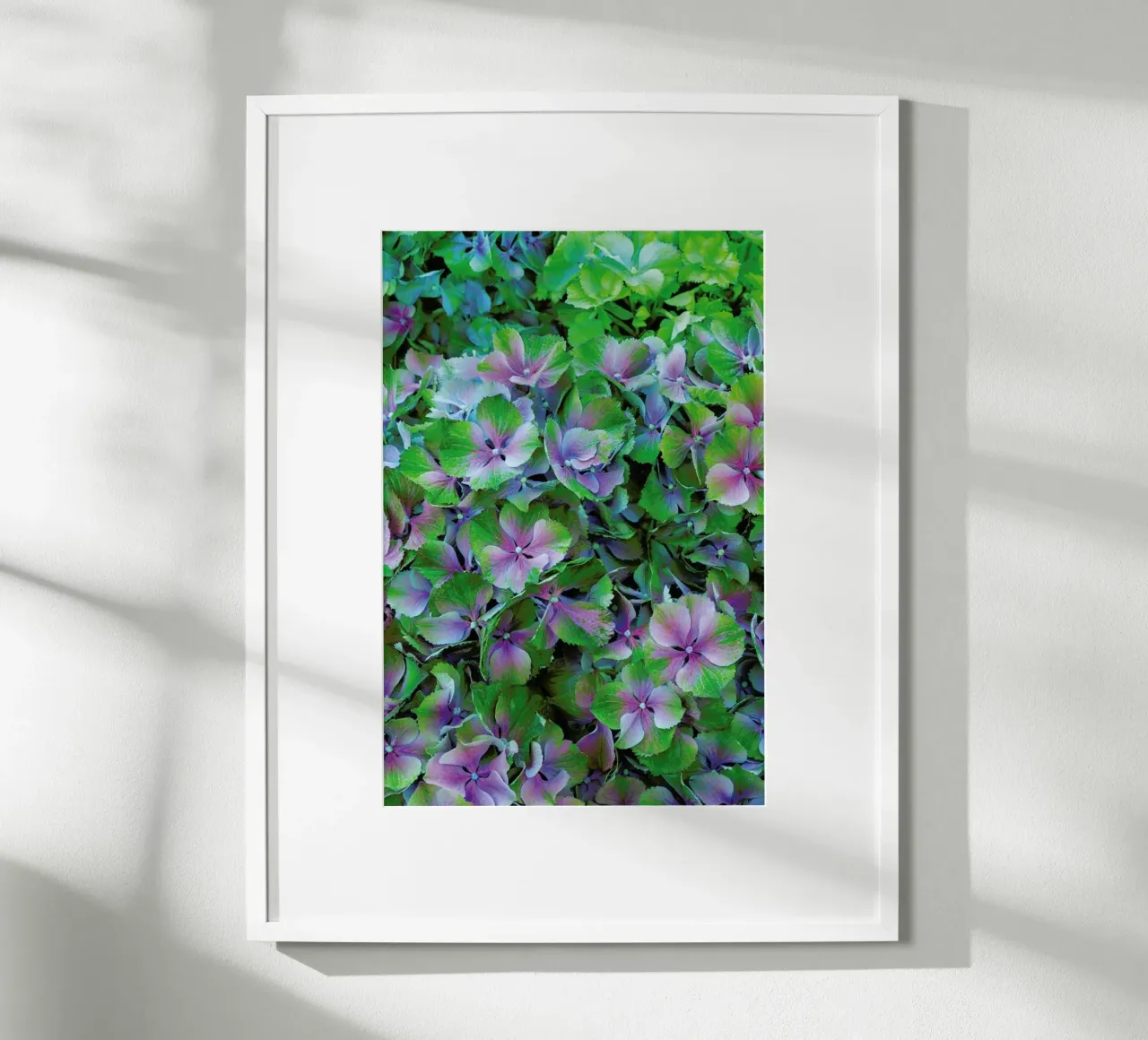 Hortensia poster da Curious Collections by Marielle Leenders